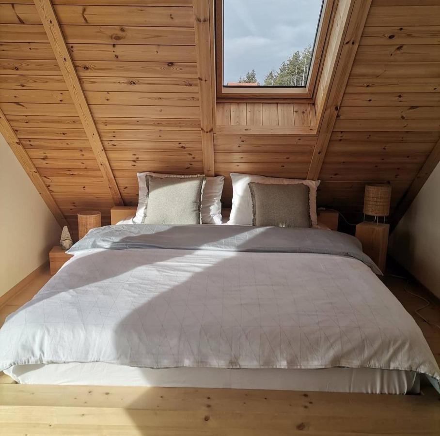 Cortina Resort إيفانييتسا المظهر الخارجي الصورة