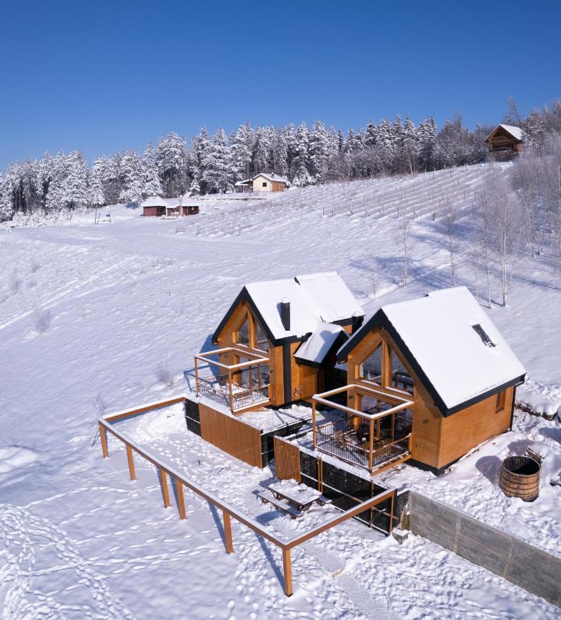 Cortina Resort إيفانييتسا المظهر الخارجي الصورة