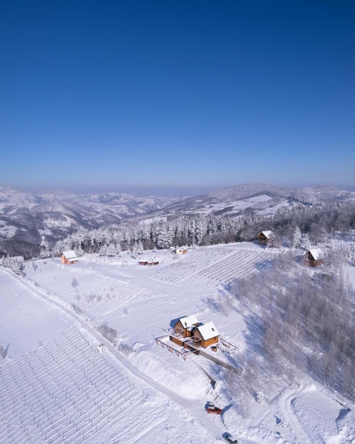 Cortina Resort إيفانييتسا المظهر الخارجي الصورة